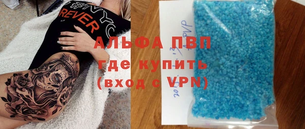 СК Зеленокумск