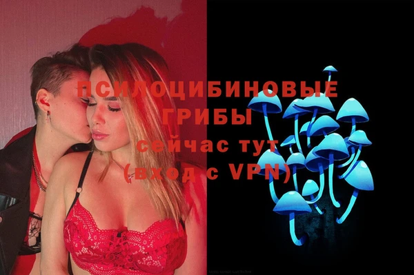 СК Зеленокумск