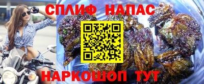 каннабис Кингисепп