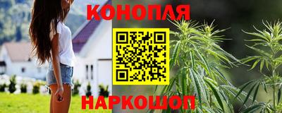 каннабис Кингисепп