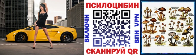 Псилоцибиновые грибы MAGIC MUSHROOMS  цены   Сибай 