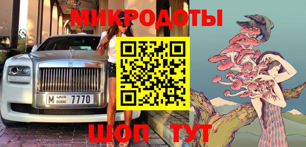 закладки  Сибай  Псилоцибиновые грибы Psilocybe  Псилоцибиновые грибы MAGIC MUSHROOMS 