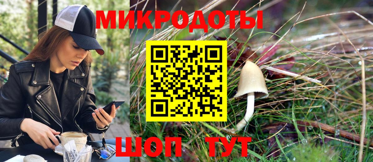 Псилоцибиновые грибы Cubensis  Вход с VPN  Сибай 