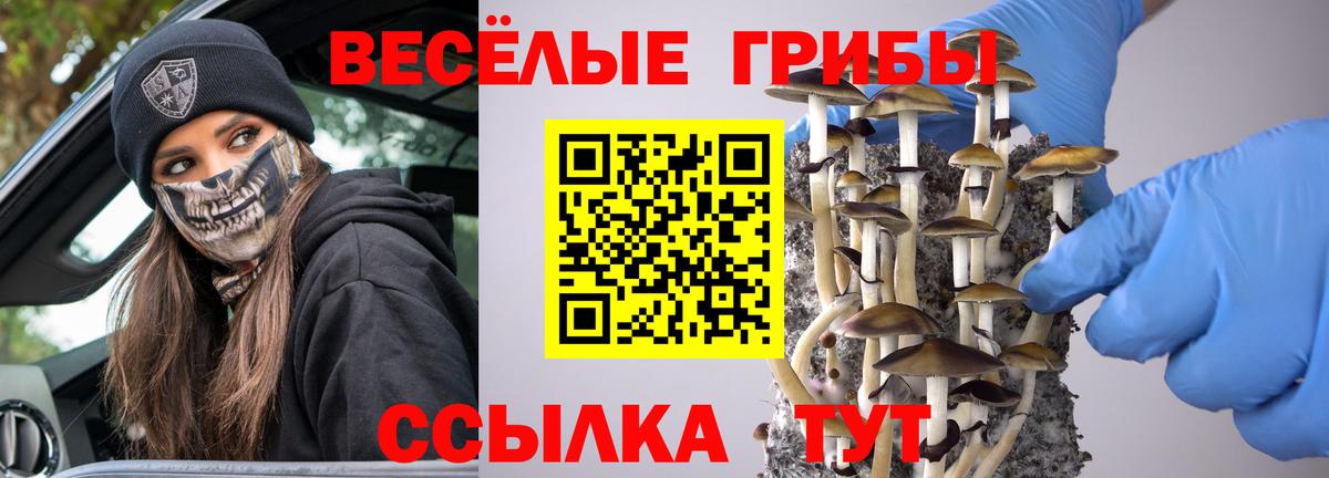 Псилоцибиновые грибы прущие грибы Сибай